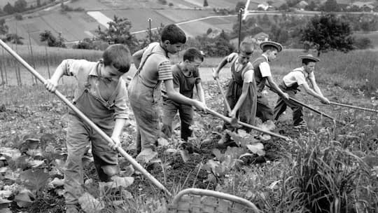 REPORTAGE UEBER HEIM- UND VERDINGKINDER --- Die Bilder der Heim- und Verdingkinder machte Walter Studer fuer Reportagen in der "Schweizer Illustrierten Zeitung" der Jahre 1952 und 1954 --- Feldarbeit in der Armenerziehungsanstalt "Dorneren" ob Watten…