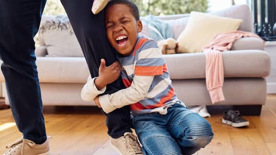 Hes having a bad day. a little boy throwing a tantrum while holding his parents leg at home.
Original File Image: 2293180681