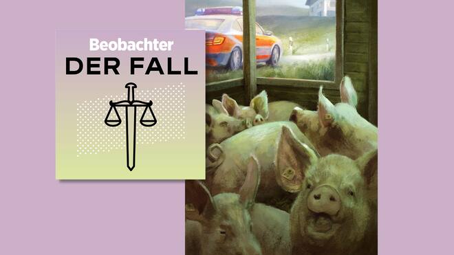 Amtlich registrierter Schweinegestank Illustration Podcast Beobachter Schweinegestank; Amtlich registrierter Schweinegestank «Wir haben das Gefühl, in unserem Haus zu ersticken»: Mosers leben 30 Meter neben einer Schweinezucht. Und nehmen den Kampf auf.