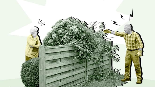 Diese Abstandsvorschriften von Pflanzen gelten Zwei Nachbarn streiten an einem Grenzzaun, weil ein Strauch über die Grundstücksgrenze hinausragt. - Ist eine Bepflanzung des Nachbarn zu nahe an Ihrem Grundstück? Der Beobachter zeigt, welches Gesetz in Ihrem Kanton die Grenzabstände regelt.