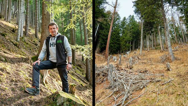 Wald gegen Wild Förster Karl Ziegler und zerstörte Bündner Wälder