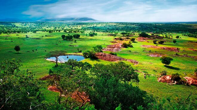 Versichert gegen Corona oder doch nicht? Serengeti-Nationalpark in Tansania