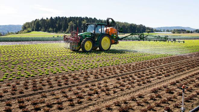 Welche Folgen die Landwirtschaftsinitiativen hätten Ein Insektizid soll den Salat auf dem Feld vor Blattlaeusen, ein Fungizid vor Pilzkrankheiten schuetzen. Der Traktor mit dem Spritzgeraet von Gemuese Kaeser beim Ensatz mit Pflanzenschutzmitteln in Birmenstorf am 17. September 2019. (KEYSTONE/Christian Beutler)