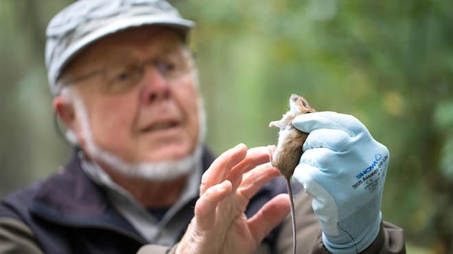 «Das ist ein uuh huere Brocke!» Auf Mäusejagd