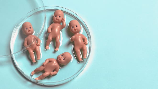 Wie finde ich heraus, wer mein Vater ist? Vier kleine Babypuppen liegen in einer Petrischale, die mit einer Flüssigkeit überzogen ist. Wer nach 2001 aus einer Samenspende gezeugt wurde, kann mittels Gesuch bei den Behörden um Auskunft über den Spender verlangen.