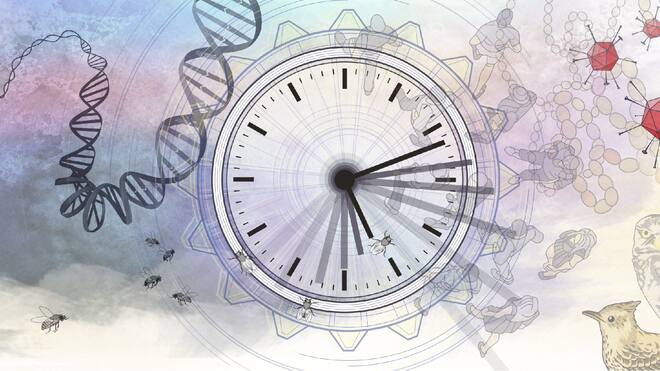 Im Takt der inneren Uhr Illustration einer Uhr, einer DNA-Spirale und Eulen.