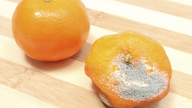 Wann ist etwas abgelaufen? Lebensmittel-Schimmel