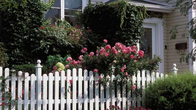 Abstandsvorschriften für Bäume und Sträucher Gartenzaun aus weissen Holzlatten, dahinter verschieden Pflanzen und Blumen. Grenzabstände von Bepflanzungen zum Nachbarsgrundstück sind in jedem Kanton anders geregelt. Ein Überblick zu den Gesetzen in Ihrem Wohnkanton.