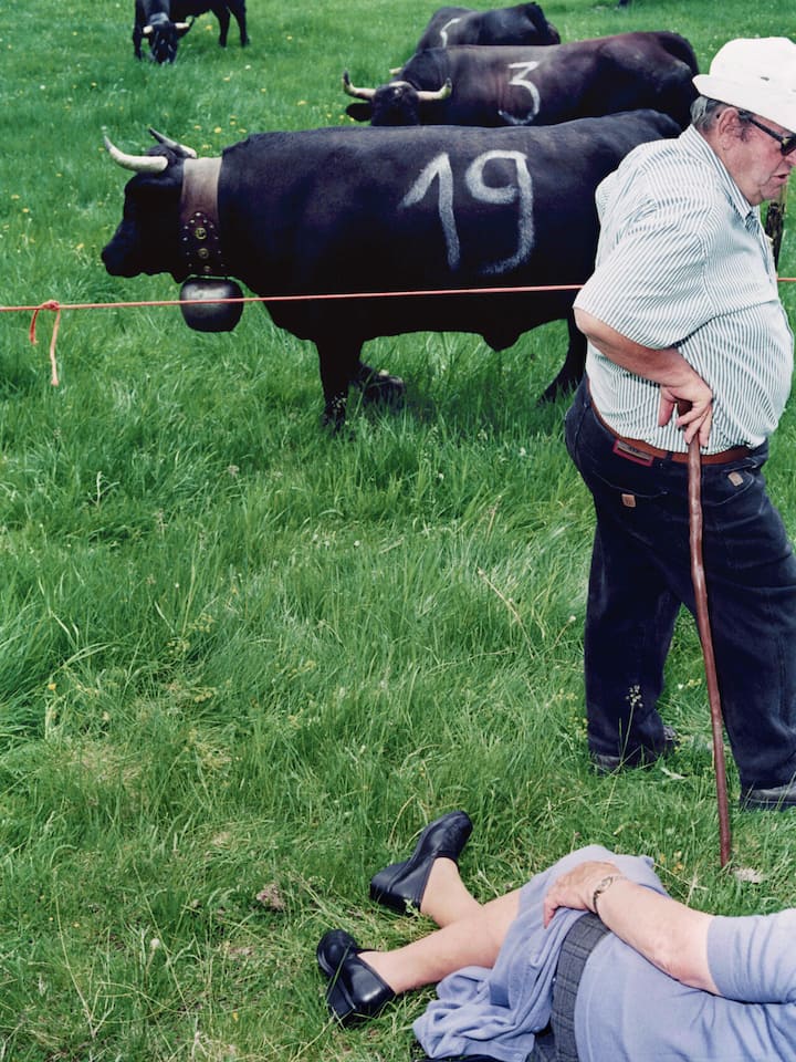 So sieht die Schweizer Seele im Jahr 2036 aus Alter Mann und Eringerkühe, Frau sitzt auf dem Boden - Leidet Helvetia in zehn Jahren an einer multiplen Persönlichkeitsstörung? Oder ist sie psychisch absolut gesund? Der Psychoanalytiker Peter Schneider wagt eine Diagnose