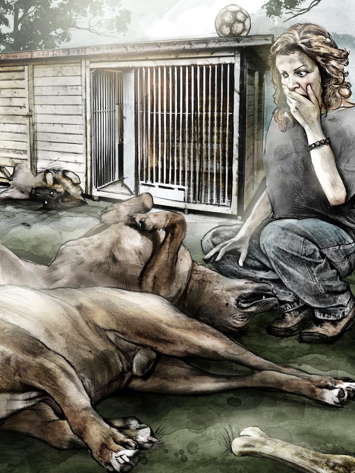 Vom Regen in die Traufe