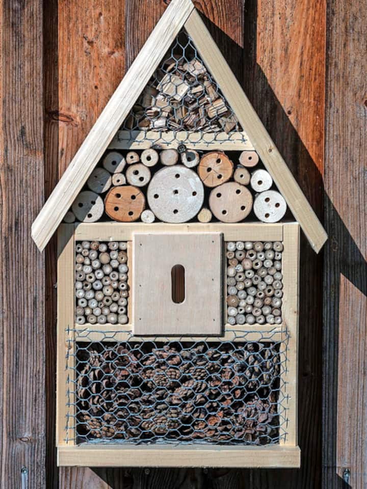 Insektenhotel