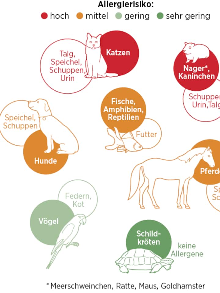 Grafische Darstellung, welche Tiere Allergien auslösen können.
