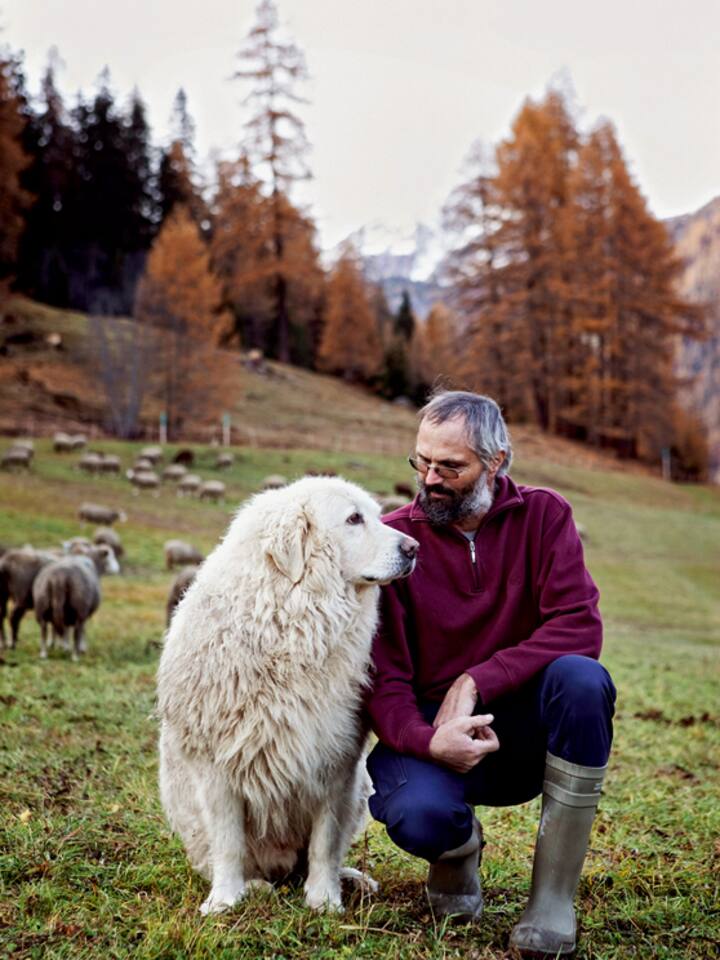 Ein Tal will hoch hinaus