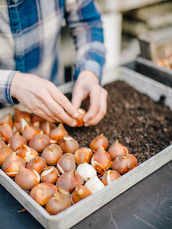 «Wir sind in der Umstellungsphase und ständig am Lernen.» – Samantha Bühler, Inhaberin Grünraum