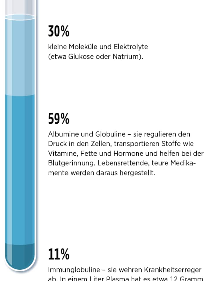 Daraus besteht Plasma