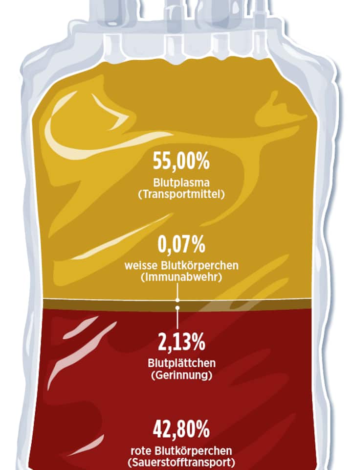 Die Blutprodukte: Blutplasma, weisse Blutkörperchen, Blutplättchen, rote Blutkörperchen