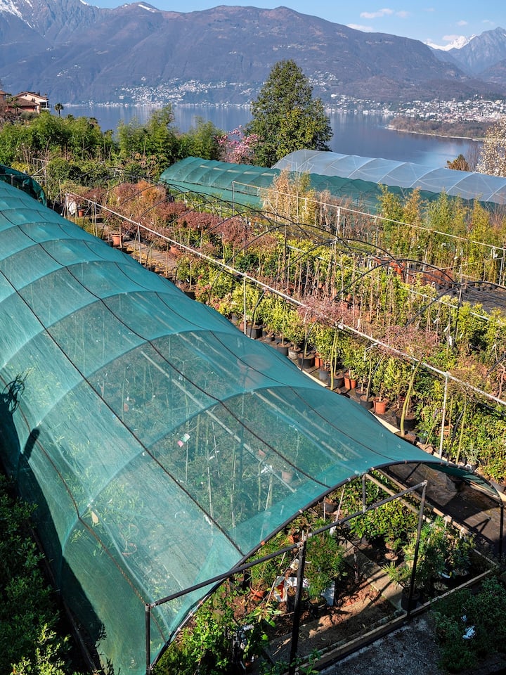 Botanischer Garten von Gambarogno