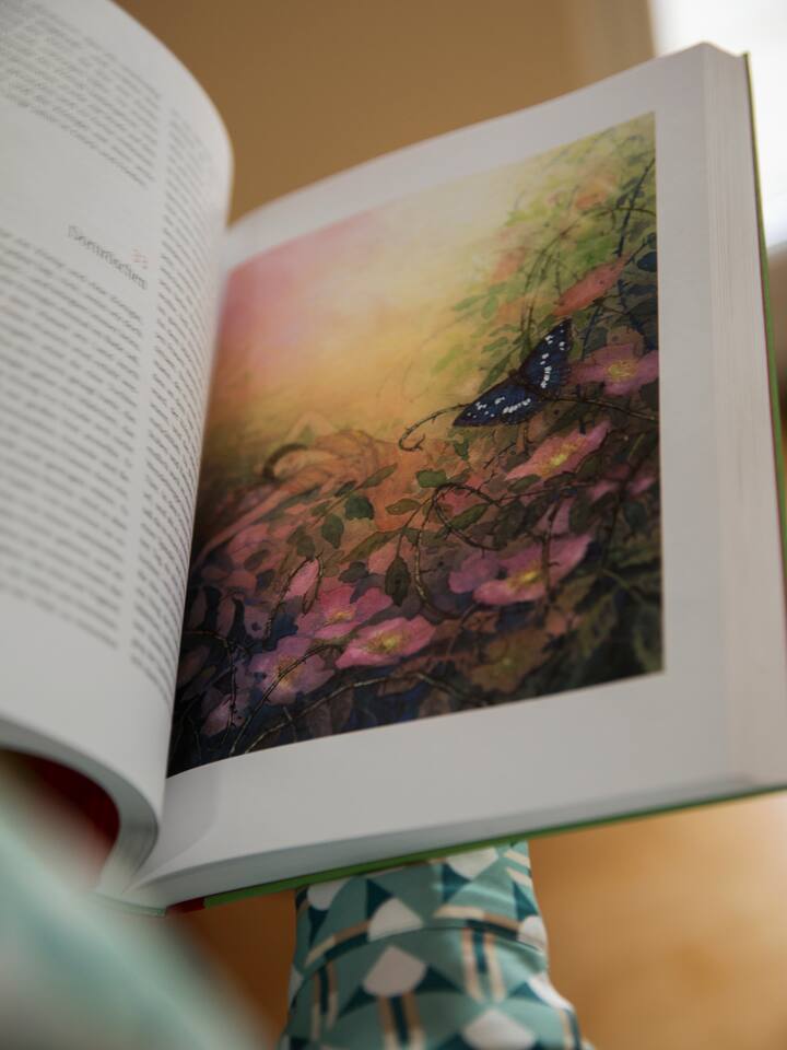 Illustration auf einer Seite in einem Märchenbuch von Elisabeth Erb. «Ist das nicht wunderschön?»: Elisabeth Erb besitzt bezaubernde Bücher.