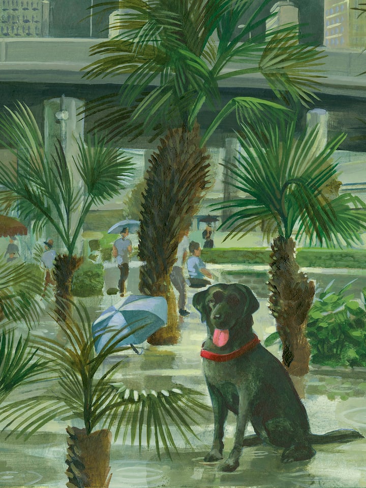 Totenstille in Hongkong