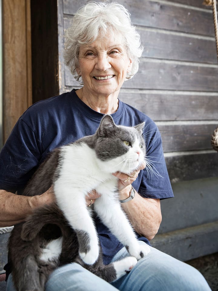 Zu Besuch bei einer Katzenstreichlerin