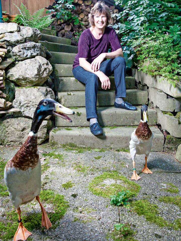 Biologische Schneckenvertilger