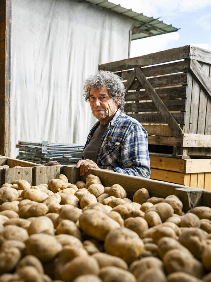 Heinz Höneisen mit Kisten voller Kartoffeln - Nach dem trockenen Sommer sind die Kartoffelernten so tief wie nie. Jetzt sucht man händeringend neue, robustere Sorten – auch mit Hilfe von Gentechnik