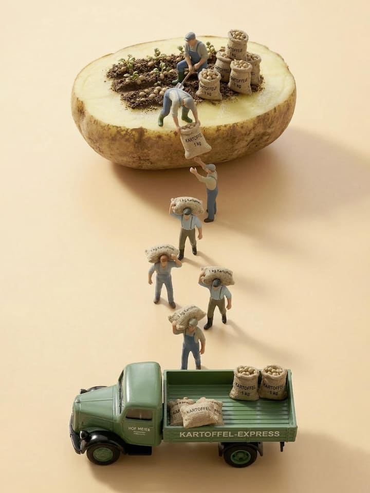 Jetzt beginnt der Streit um die Labor-Kartoffel Collage: Bauern ernten Kartoffeln auf Riesenkartoffel - In der EU sollen gentechnisch veränderte Pflanzen künftig einfacher angebaut werden dürfen. Weil die Schweiz bei Kartoffeln stark abhängig ist von der EU, stellt sich die Frage: Stehen bald CRISPR-Chips in unseren Regalen