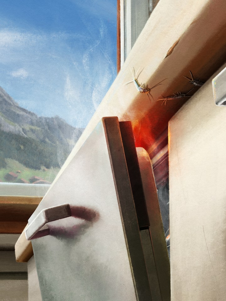 Silberfische in der Küche – Eine Frau zieht vom Unterland nach Adelboden, in ihre geliebten Berge. Bald eckt sie an im Dorf und verlässt es wieder – unfreiwillig