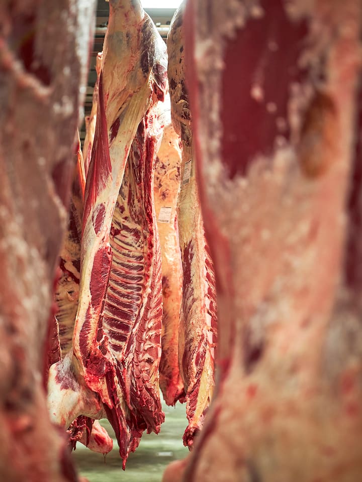 Fleischproduzent Bell