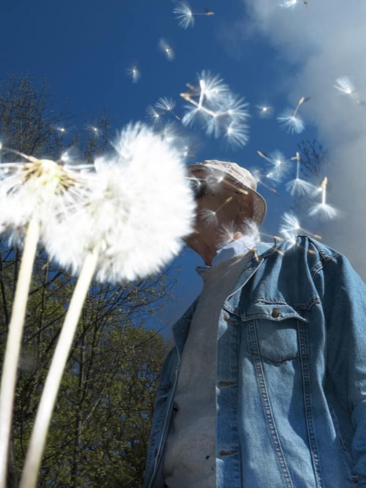 Der friedliche Tod ist ein Mythos Mann und Löwenzahn mit Samen - Sterben ist heute oft ein medizinischer Marathon aus Operationen und Interventionen. Wer die Kontrolle behalten will, muss sich entscheiden. Doch wie weit darf die Freiheit über ein selbstbestimmtes Lebensende gehen