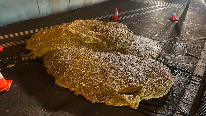 Ein riesiger Fettklumpen hält Luzern in Atem Luzern: Ein riesiger Fettklumpen quoll aus der Kanalisation aufs Trottoir