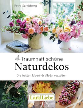 Buchcover Traumhaft schöne Naturdekos