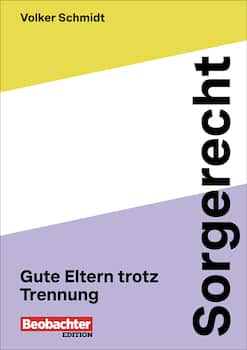 Buchcover Sorgerecht