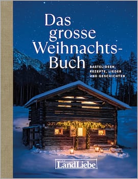 Buchcover Das grosse Weihnachtsbuch