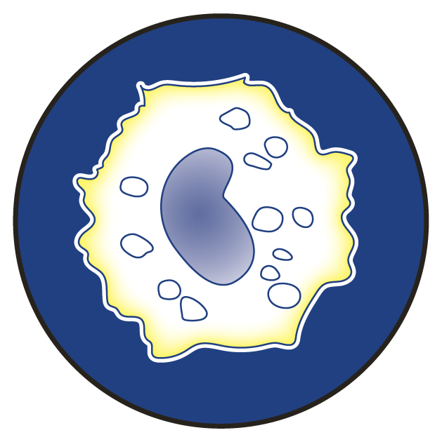 Körper schüttet Pyrogene aus