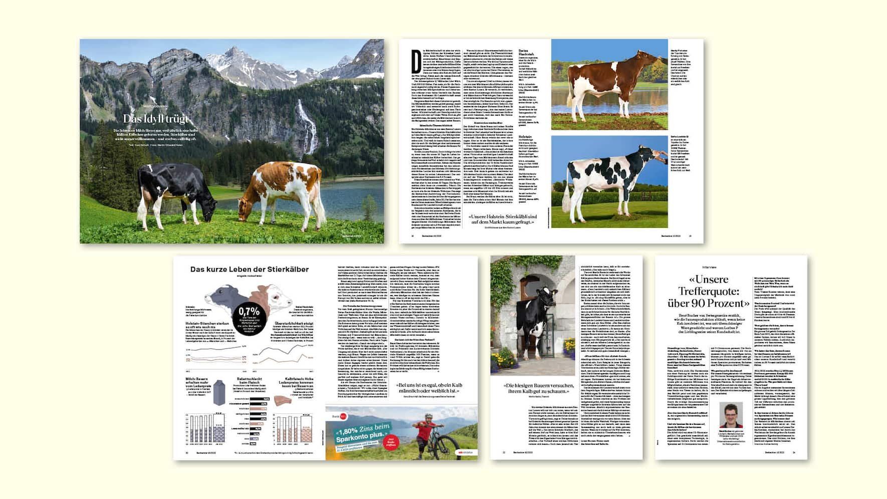 Printausgabe der Story «Das Idyll trügt»