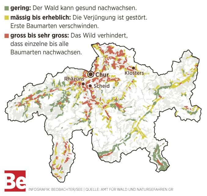 Graubünden: Da ist der Wald in Gefahr