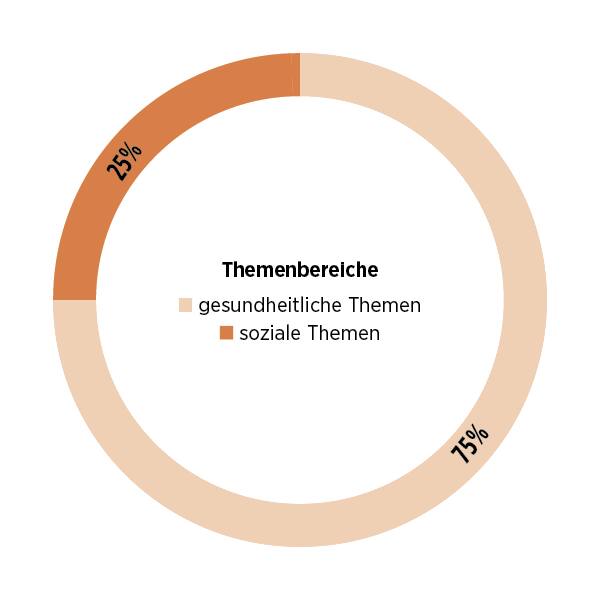 Infografik: Themengebiete der Selbsthilfegruppen