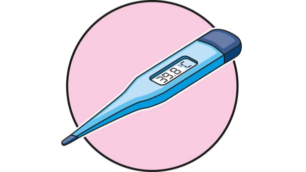 Digitaler Stabthermometer