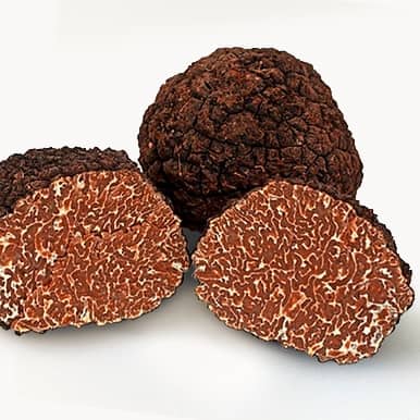 Herbst- oder Burgundertrüffel (Tuber uncinatum)