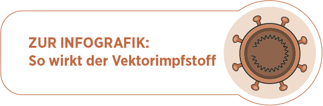Wie wirkt der Vektorimpfstoff?