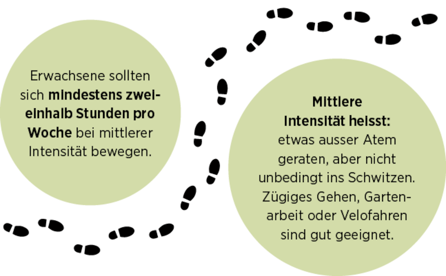 Grafische Darstellung, wie viele Schritte man pro Tag gehen sollte.