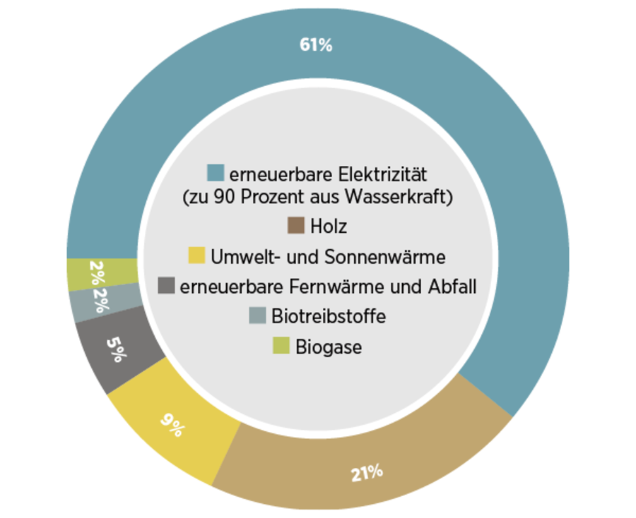 Aus diesen Quellen stammte die 2016 verbrauchte erneuerbare Energie.