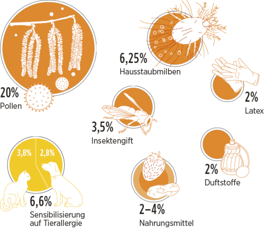 Die häufigsten Auslöser für Allergien.