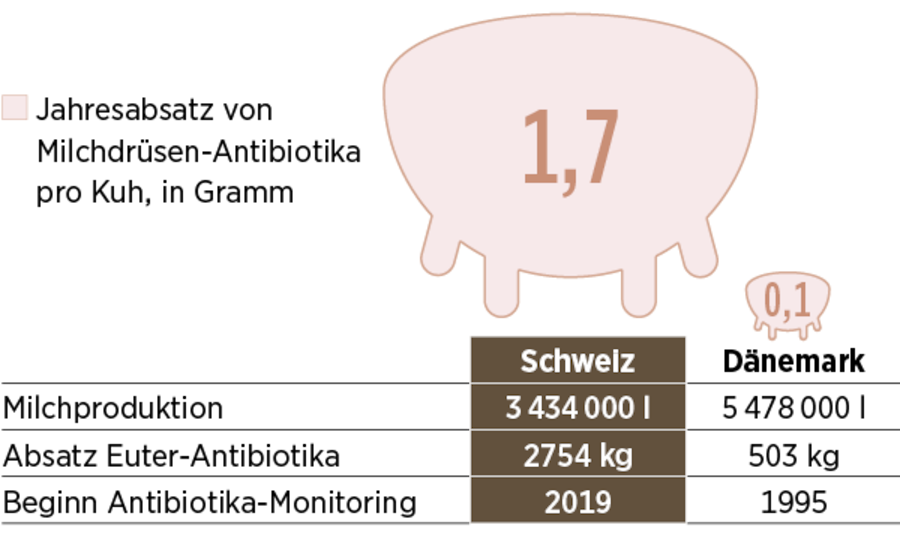 1,7 Gramm Antibiotika pro Schweizer Kuh