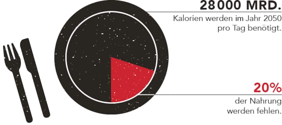 Kalorienbedarf weltweit im Jahr 2050