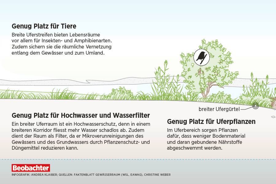 Flusslandschaft.