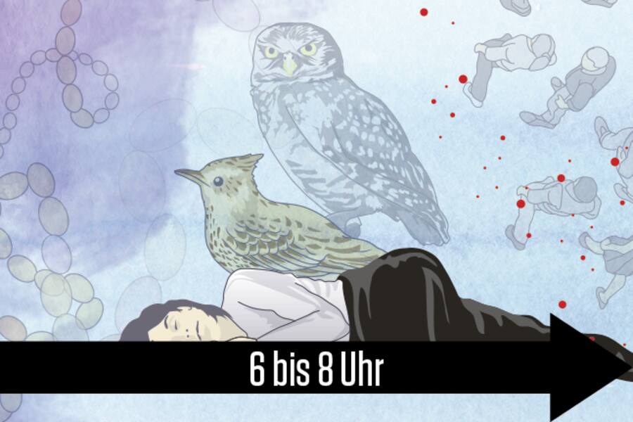 6 bis 8 Uhr