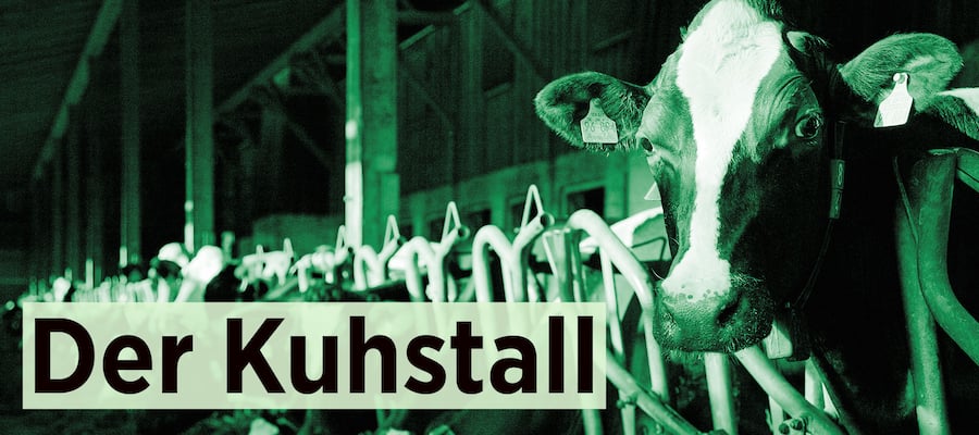 Kuhstall