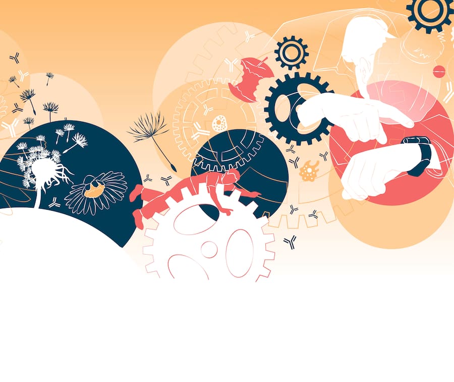 Grafische Darstellung, welchen Einflüssen das Immunsystem von Erwachsenen ausgesetzt ist.